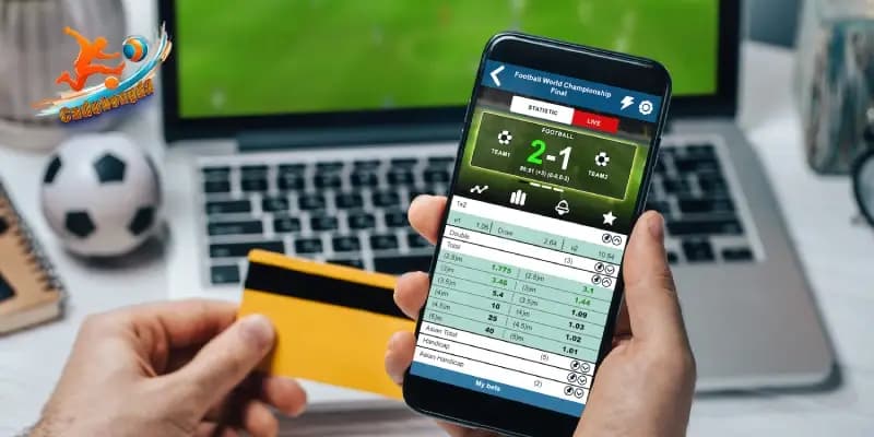 Hướng Dẫn Theo Dõi Kết Quả Cược Thể Thao Biendo Chính Xác