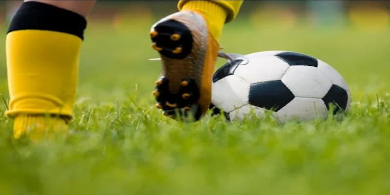 Cá cược bóng đá Cf68